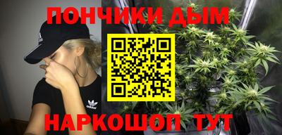 стаф Кимры