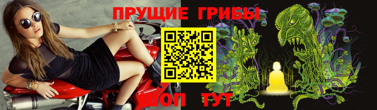 Зеленокумск  Галлюциногенные грибы Psilocybine cubensis  Галлюциногенные грибы Psilocybine cubensis  Вход с VPN 