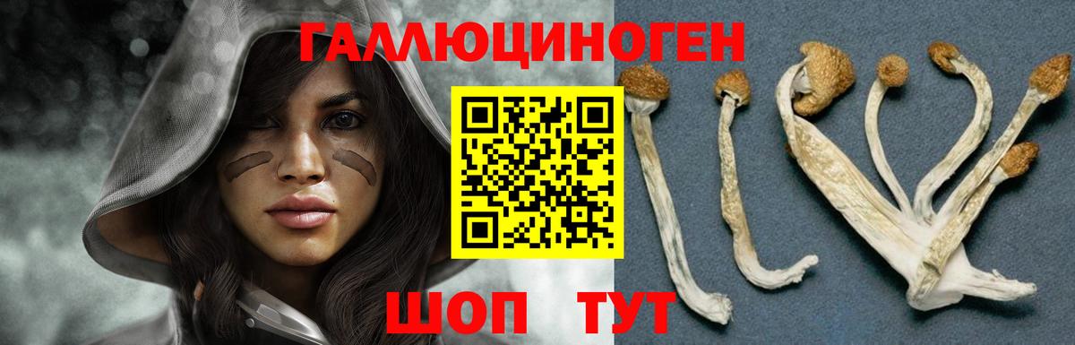 Галлюциногенные грибы Magic Shrooms  Зеленокумск 