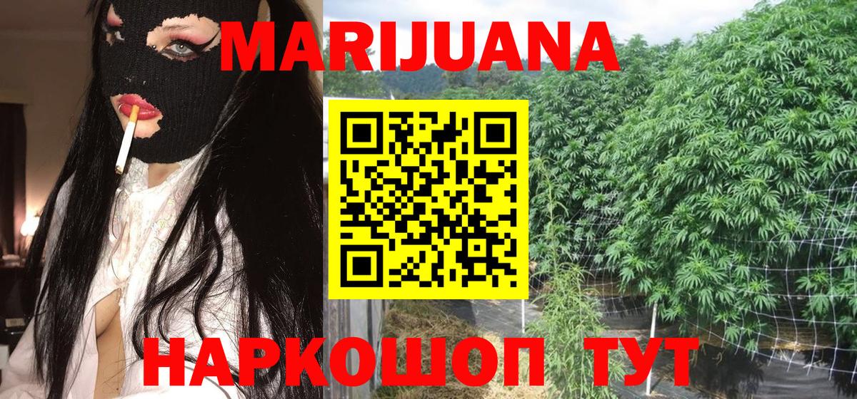 Бошки Шишки план Зеленокумск